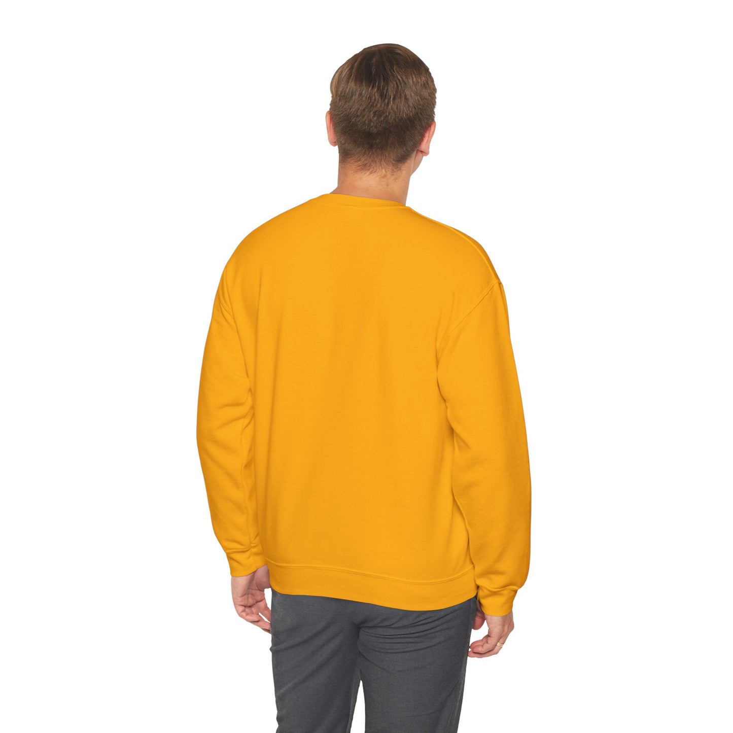 Chic Graphic Crewneck Sweatshirt - 1-800-BOYS-LIE, Cozy Sweatshirt, Fashion Sweatshirt, Casual Wear, Unique Gift, Trendy Outfit